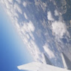 Meet your Posher, Griselda